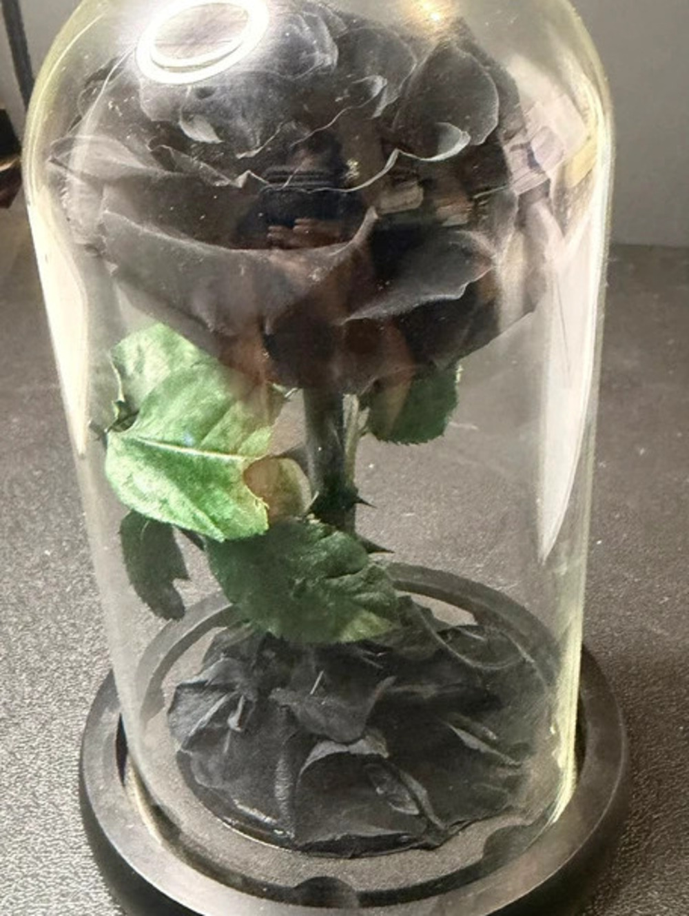 Gothic Enchanted Black Forever Rose in Glass Cloche Dome